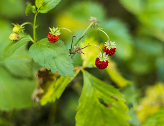 Similar image 21857156