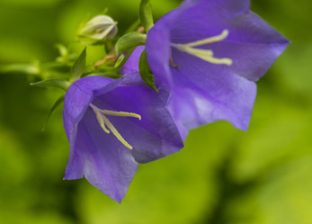 Similar image 21857157