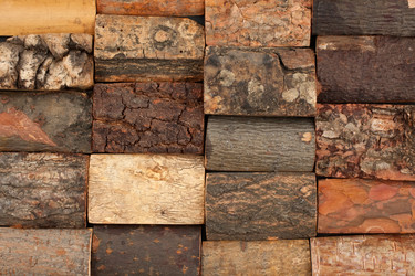 Similar image 21856970