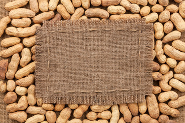 Similar image 21856974