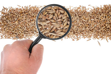 Similar image 21856978