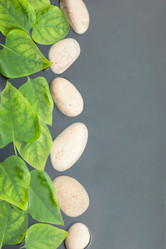 Similar image 21856979