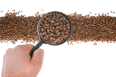 Similar image 21856983