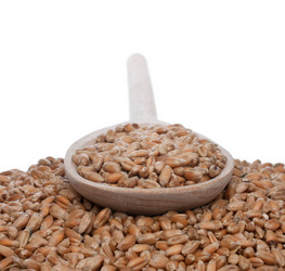 Similar image 21857001