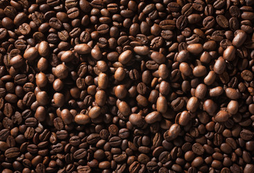 Similar image 21857002