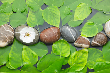 Similar image 21857013