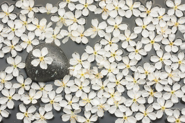 Similar image 21857644