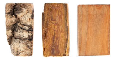 Similar image 21857645