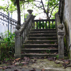 Similar image 21857430