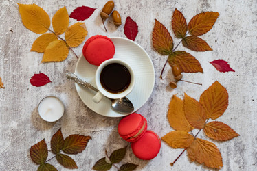 Similar image 21857451