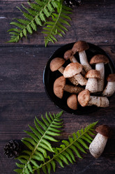 Similar image 21857456