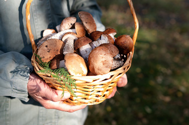 Similar image 21857457