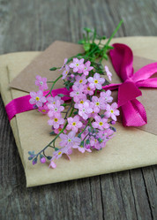 Similar image 21857459