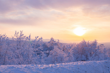 Similar image 21858422