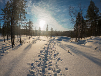 Similar image 21858423