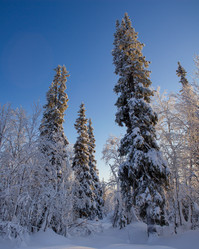 Similar image 21858431