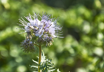 Similar image 21857661