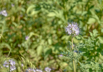 Similar image 21857662