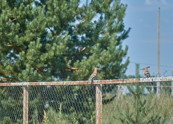 Similar image 21857663