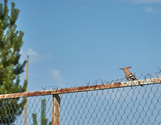 Similar image 21857665