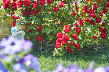 Similar image 21857666