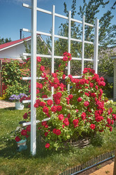 Similar image 21857668