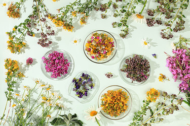 Similar image 21865463