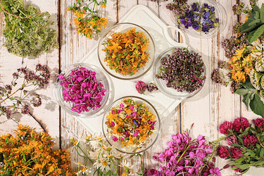 Similar image 21865464