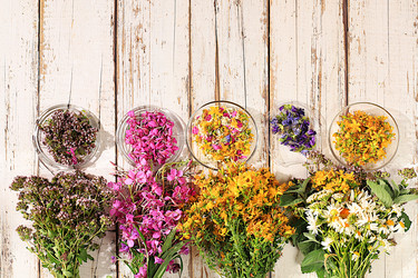 Similar image 21865465