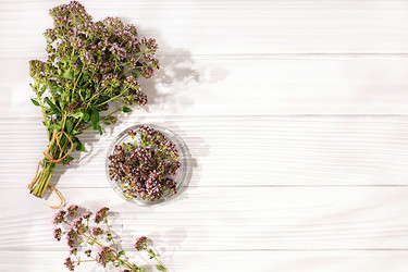 Similar image 21865467