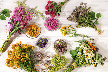 Similar image 21865471