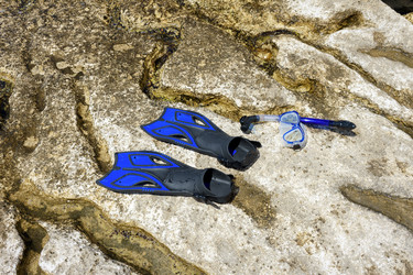 Similar image 21857475