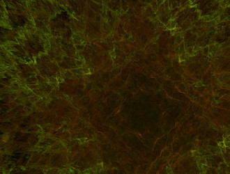 Similar image 21875855