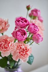 Similar image 21858743