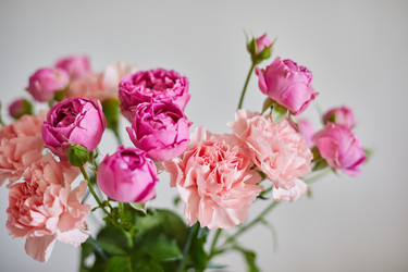 Similar image 21858745