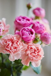 Similar image 21858746