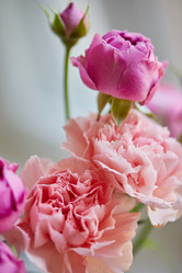 Similar image 21858747