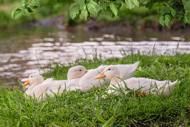 Similar image 21858765