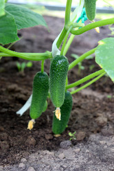 Similar image 21857675