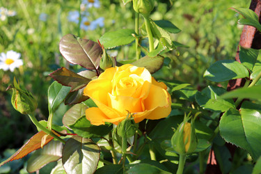 Similar image 21857676