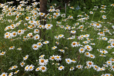 Similar image 21857677