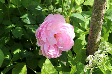 Similar image 21857678