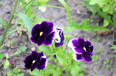 Similar image 21857680