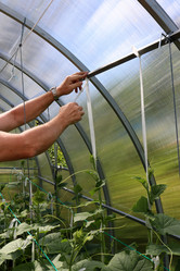 Similar image 21857681