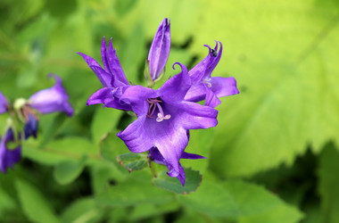 Similar image 21857682