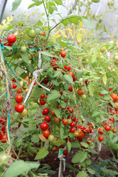 Similar image 21857683