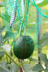 Similar image 21857685