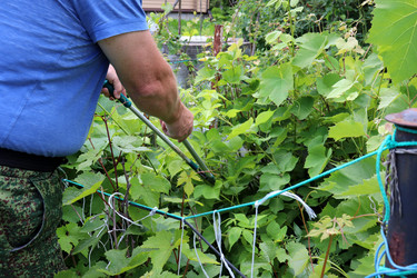 Similar image 21857686