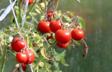 Similar image 21857688