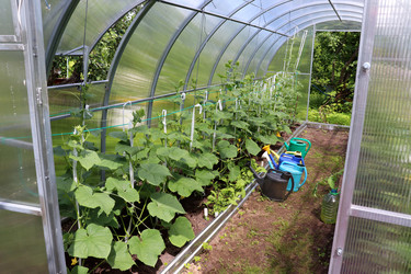 Similar image 21857689